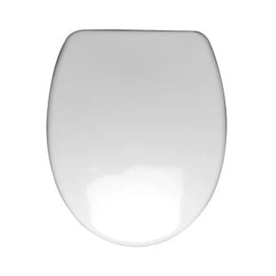 Smart Toilet Automatically Toilet Seat Cover with Warm Air Drying